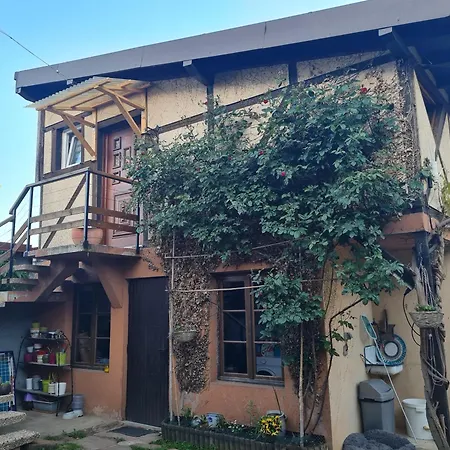 Chez Eve Et Momo Lägenhet Ingwiller