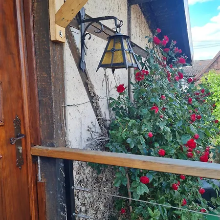 Chez Eve Et Momo Lägenhet Ingwiller