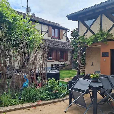 Appartement Chez Eve Et Momo Ingwiller