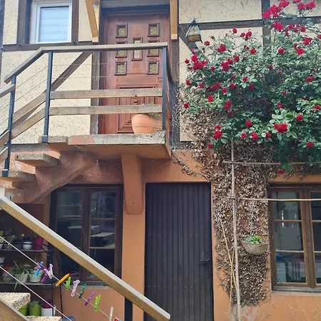 شقة Chez Eve Et Momo *