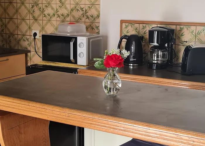 Appartement Chez Eve Et Momo Ingwiller